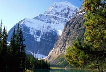 包含利物浦训练开放日，今晨复出首秀引欢呼，荷甲在即，年轻球员得到机会的词条